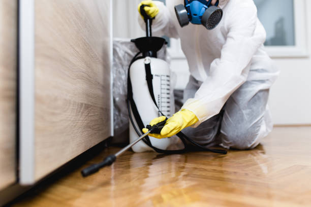 Best Pest Control Near Me in Brooksville, MS