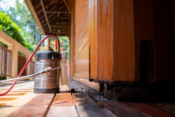 Best Local Pest Control Services  in Brooksville, MS