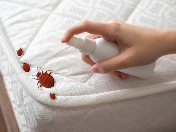 Best Pest Removal Services  in Brooksville, MS