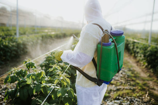Best Wasp Removal Services  in Brooksville, MS